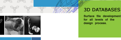3D DATABASES